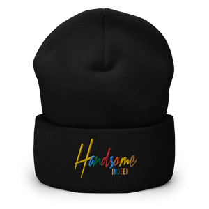 Handsome Indeed Multi Color Cuffed Beanie