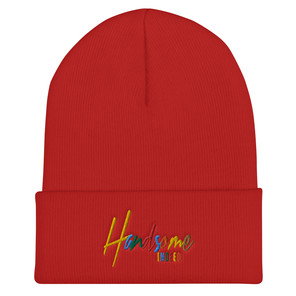 Handsome Indeed Multi Color Cuffed Beanie