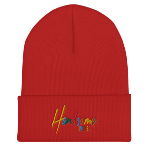 Handsome Indeed Multi Color Cuffed Beanie