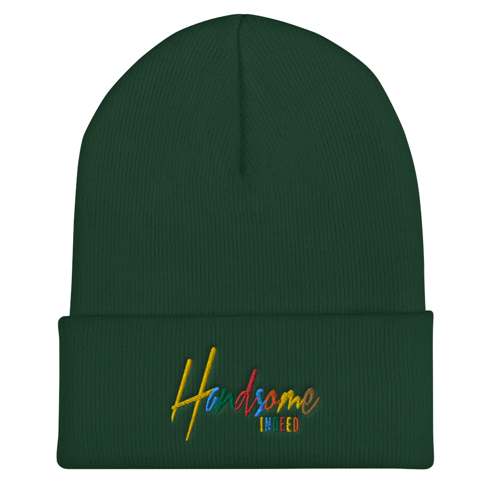 Handsome Indeed Multi Color Cuffed Beanie