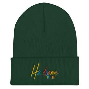 Handsome Indeed Multi Color Cuffed Beanie